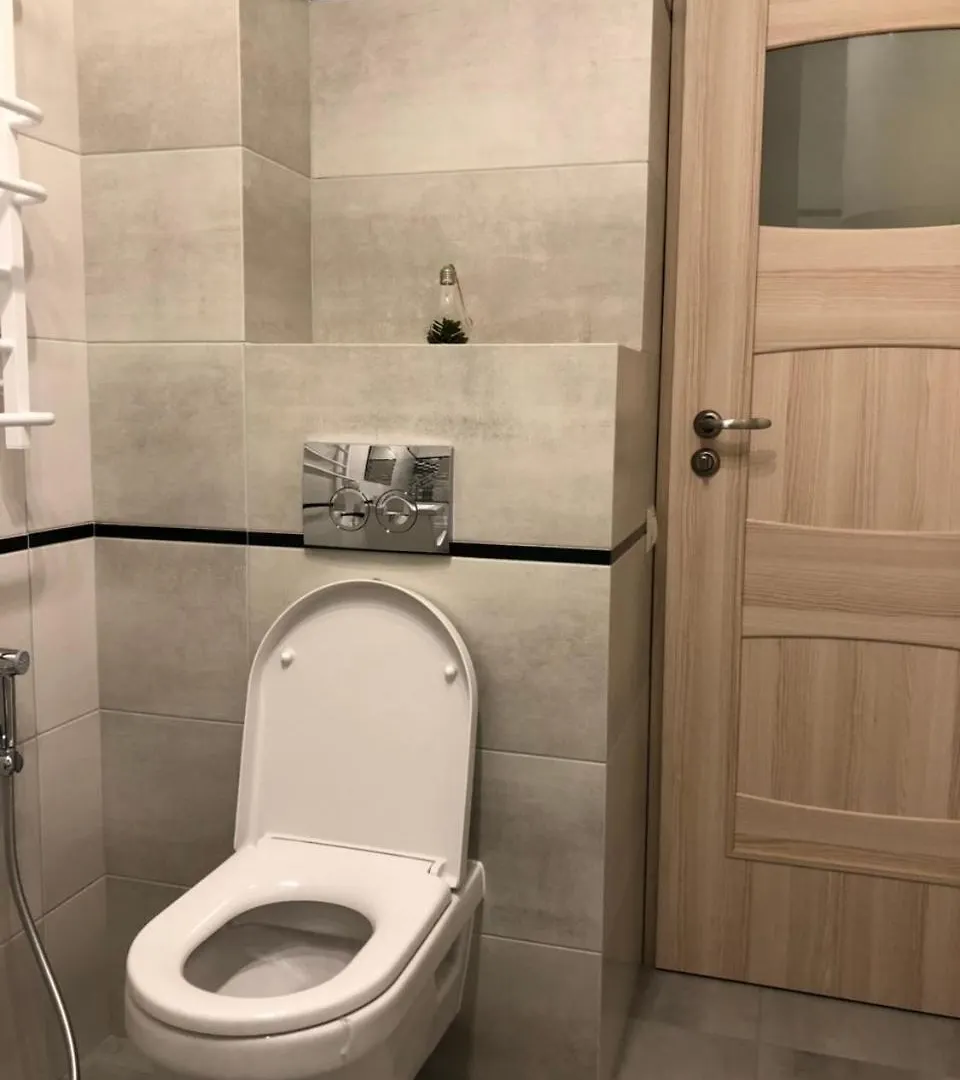 Comfort Apartment On Bogdanivska Street 7B Kyiv Ukraine